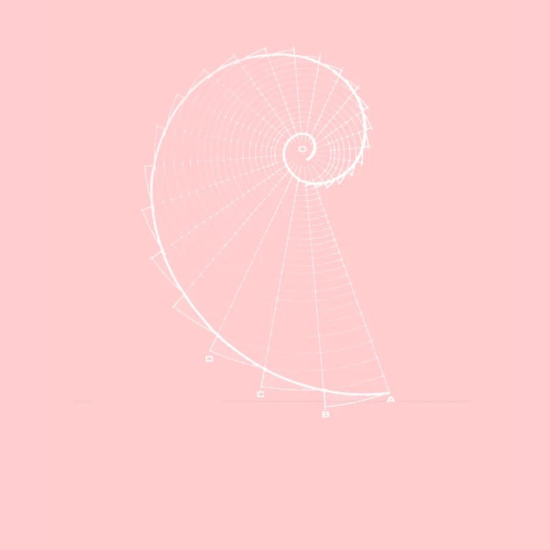 Fibonacci (chalk optics)