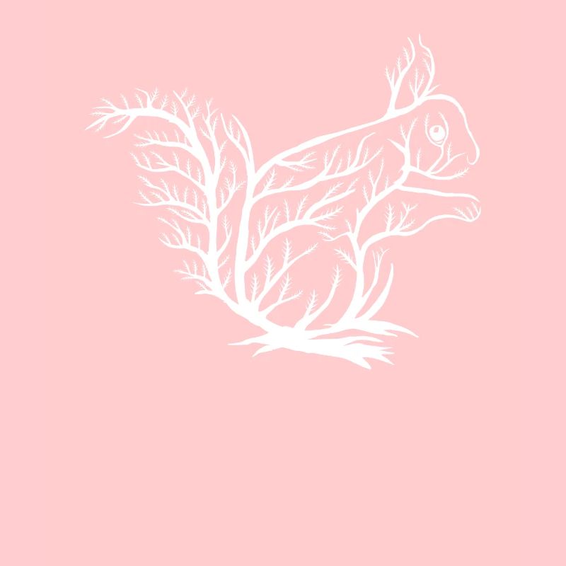 Squirrel, Eichhörnchen