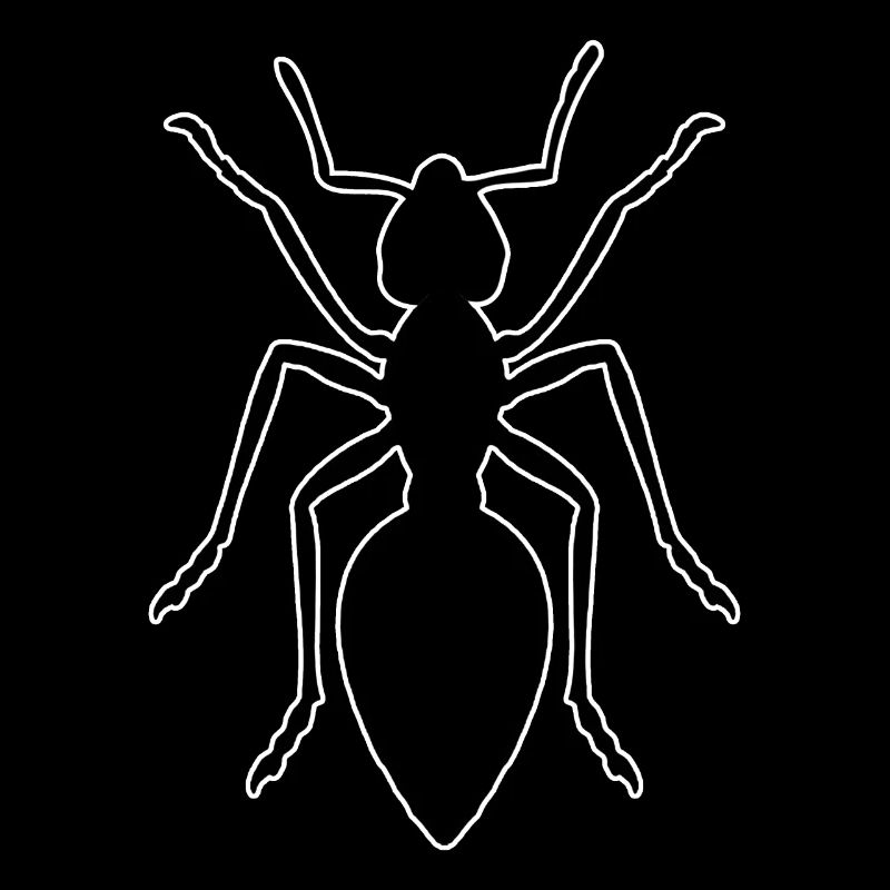 Fourmi - design avec des fourmis