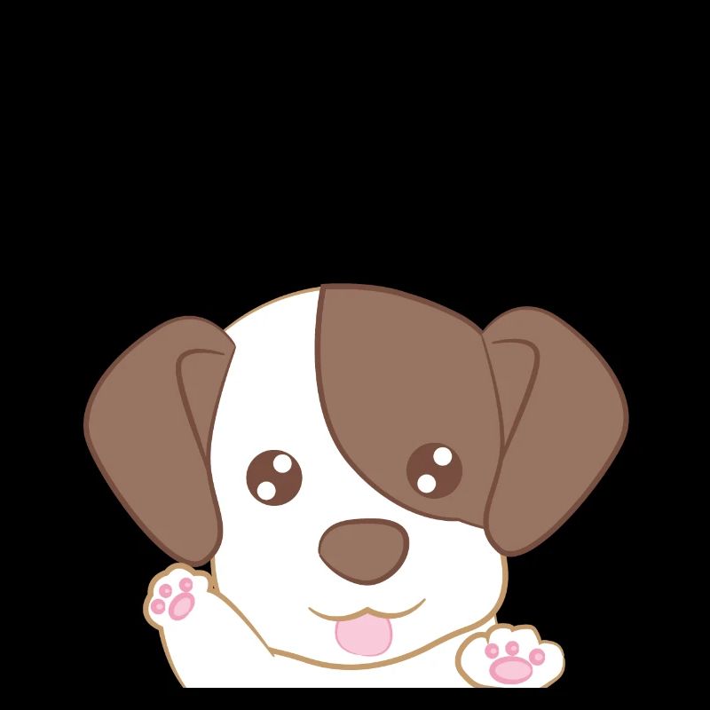Jack Russel Terrier - Jack Russel - Pattes - Chiot