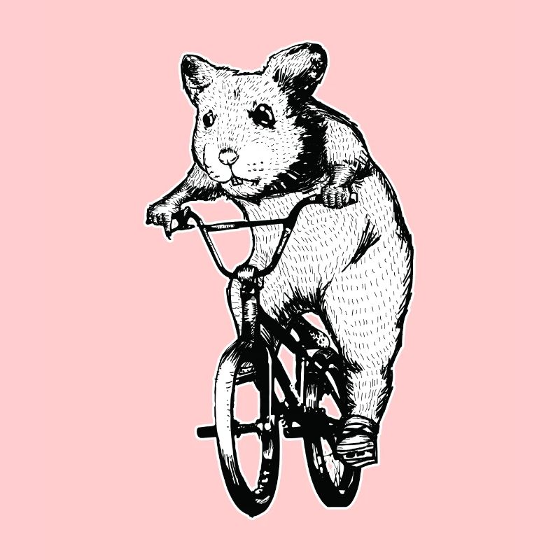 Fahrrad