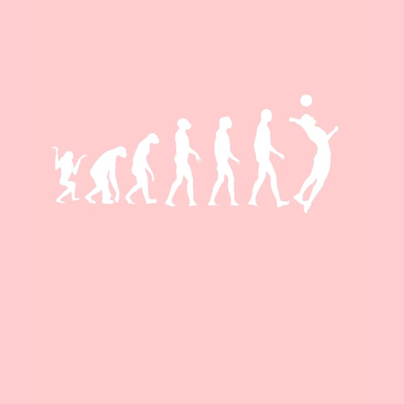 Volleyball Evolution