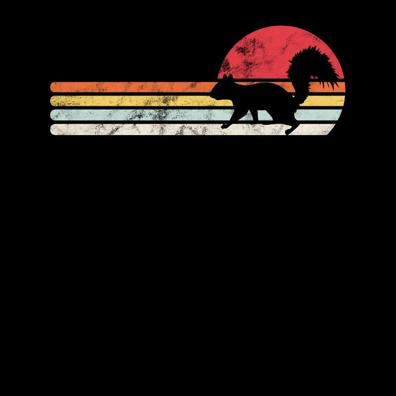Eichhörnchen Eichhörnchen Eichhörnchen