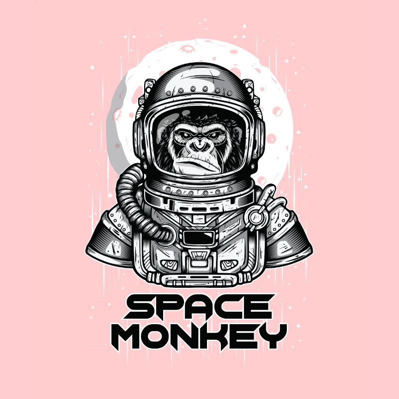 SPACE MONKEY