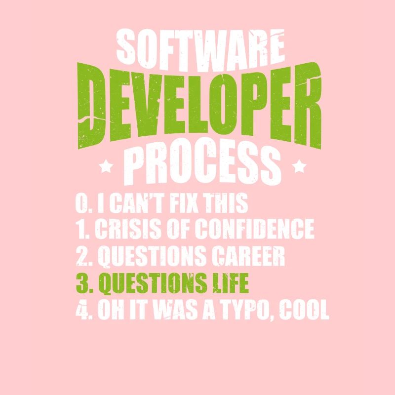 Software developer programmer software