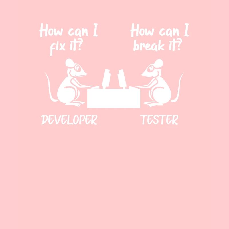 Softwareentwickler Programmierer Software