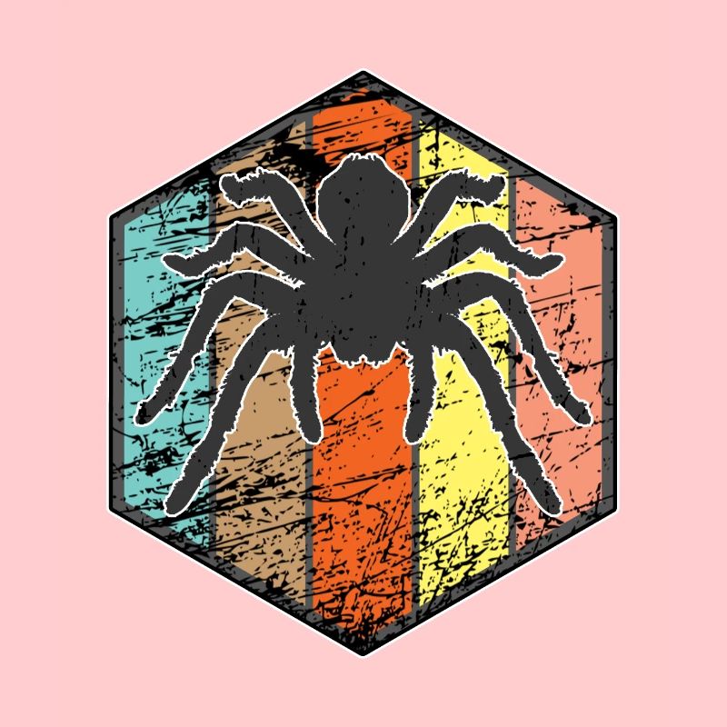 Spinne