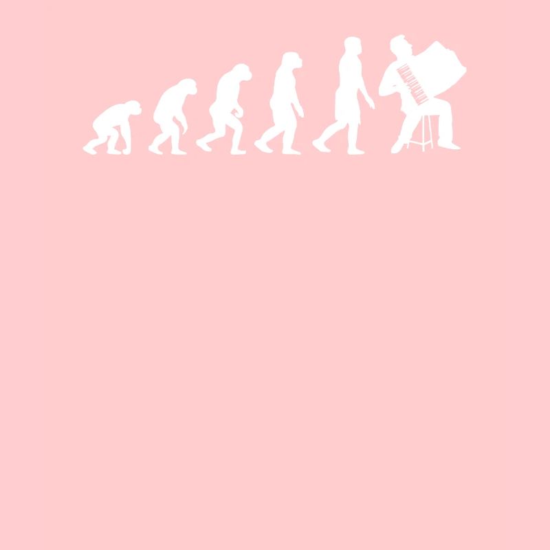 Akkordeon Evolution