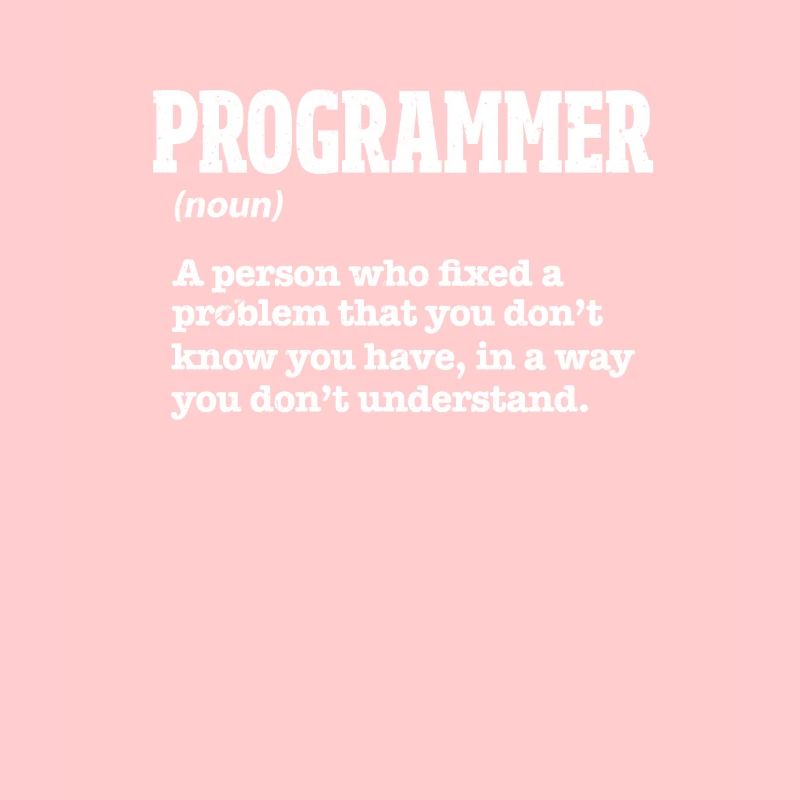 programmeur
