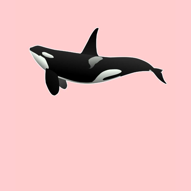 Orca Killerwal