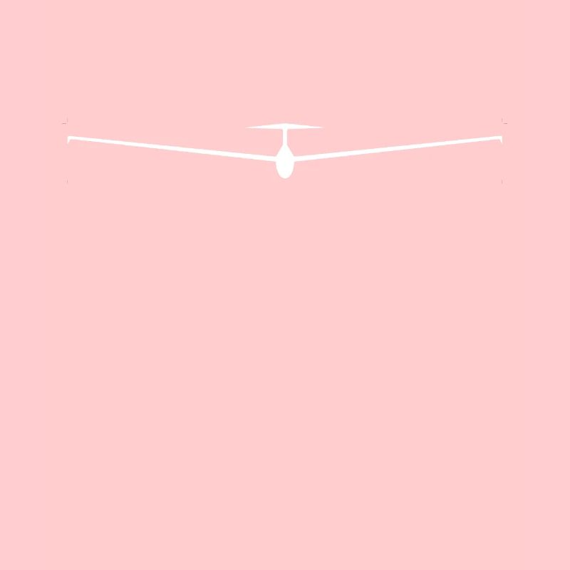Glider Gliding Pilot
