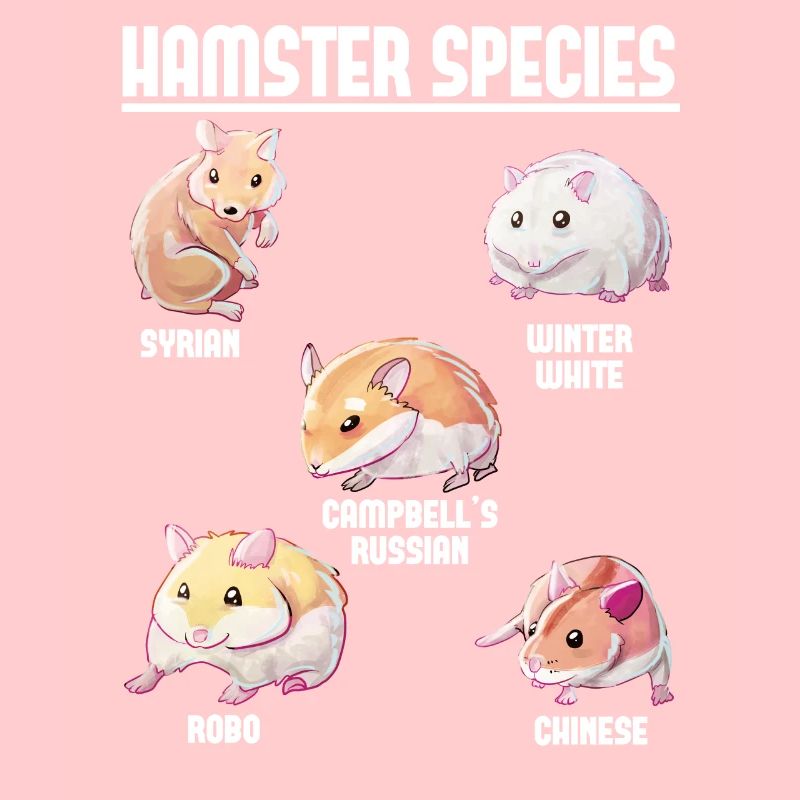 Espèces de hamsters