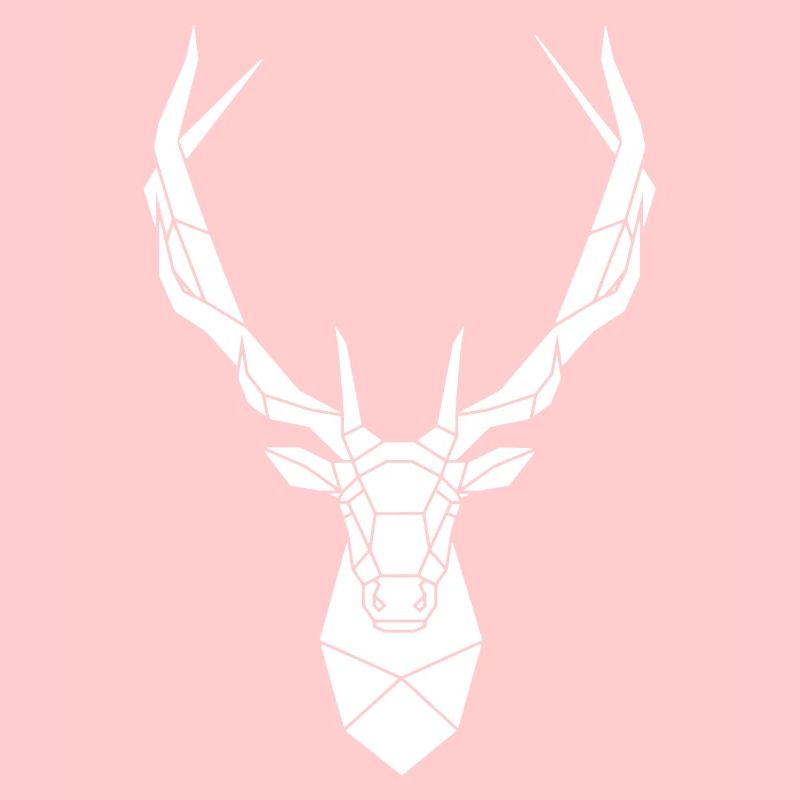 Poly Rotwild Hirsch Geweih