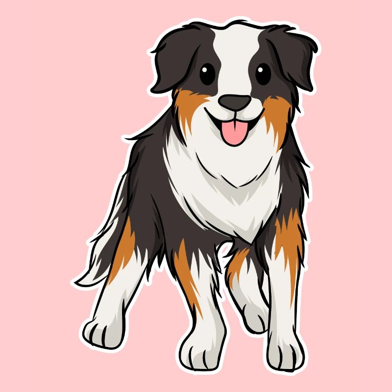 Australian Shepherd
