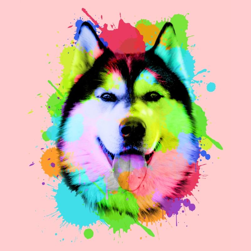 Husky World Colors