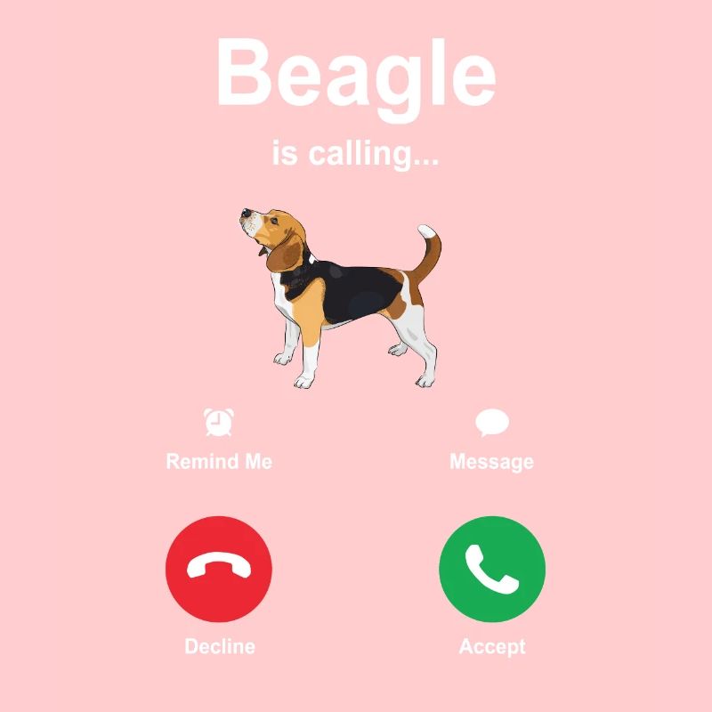 Beagle Hündchen Geschenkidee
