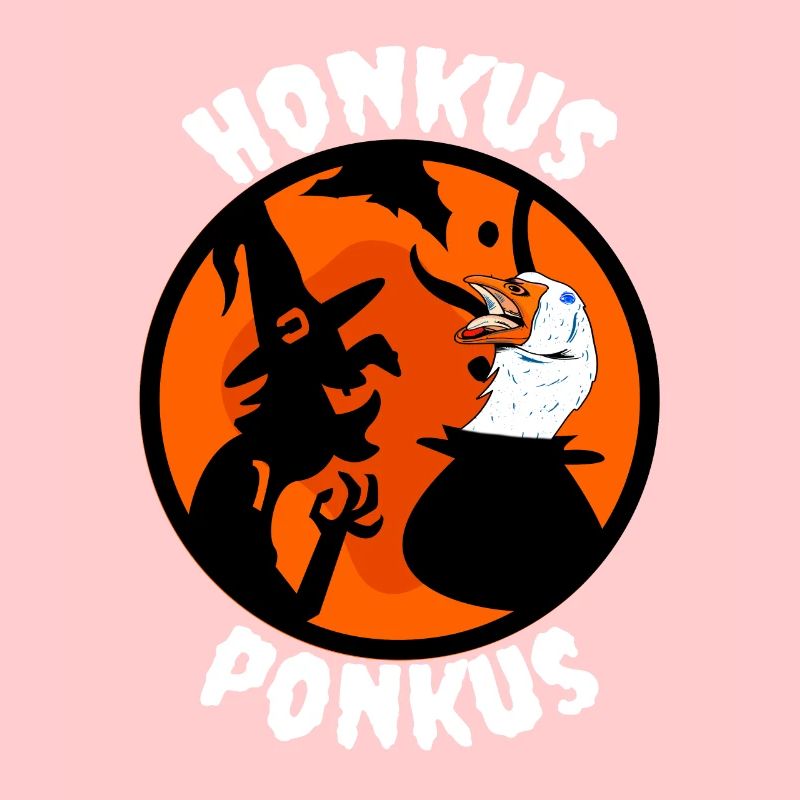 Honkus ponkus duck goose wand witch