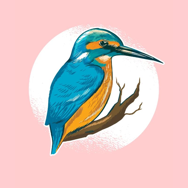 Kingfisher Rackenvogel plumes graphique bleu cobalt