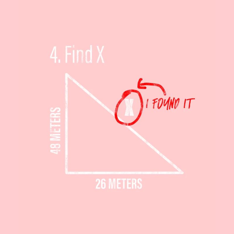 Find X, I Found It Mathematics Joke Math Joke