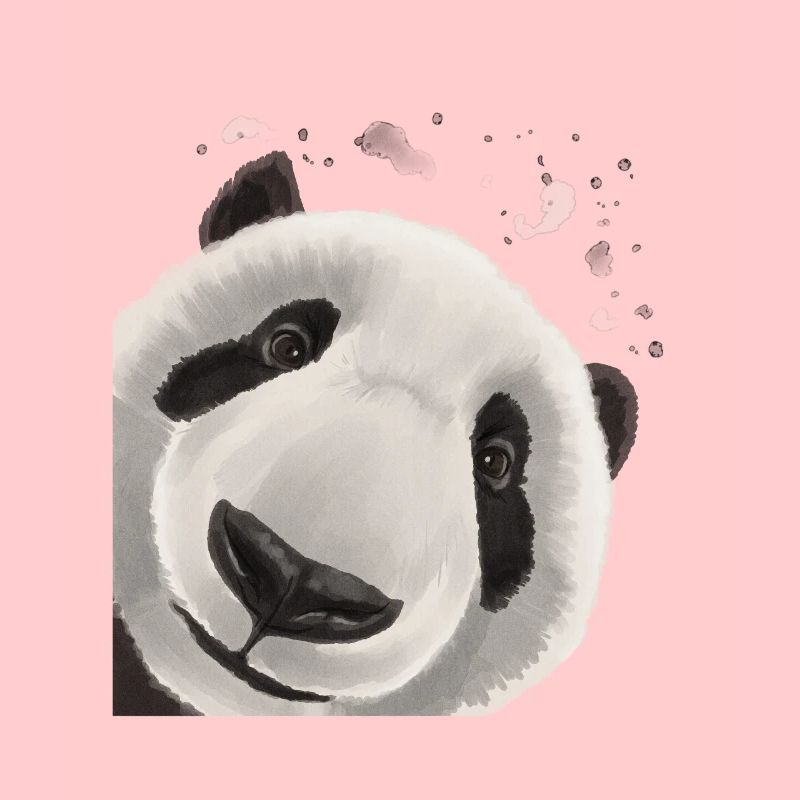 Curious Panda