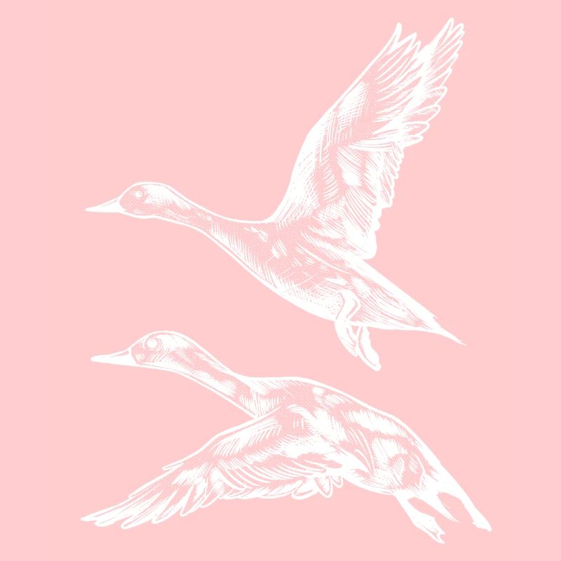 Flight duck
