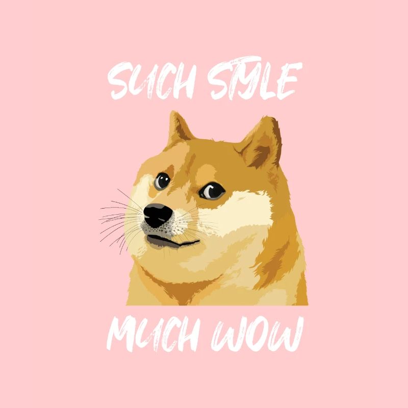 Concern Doge Meme Such Style Much Wow