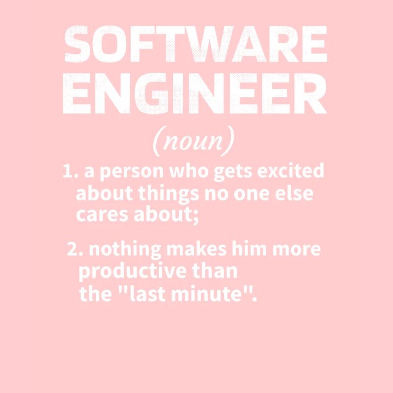 Softwareingenieur Software Engineer Techniker