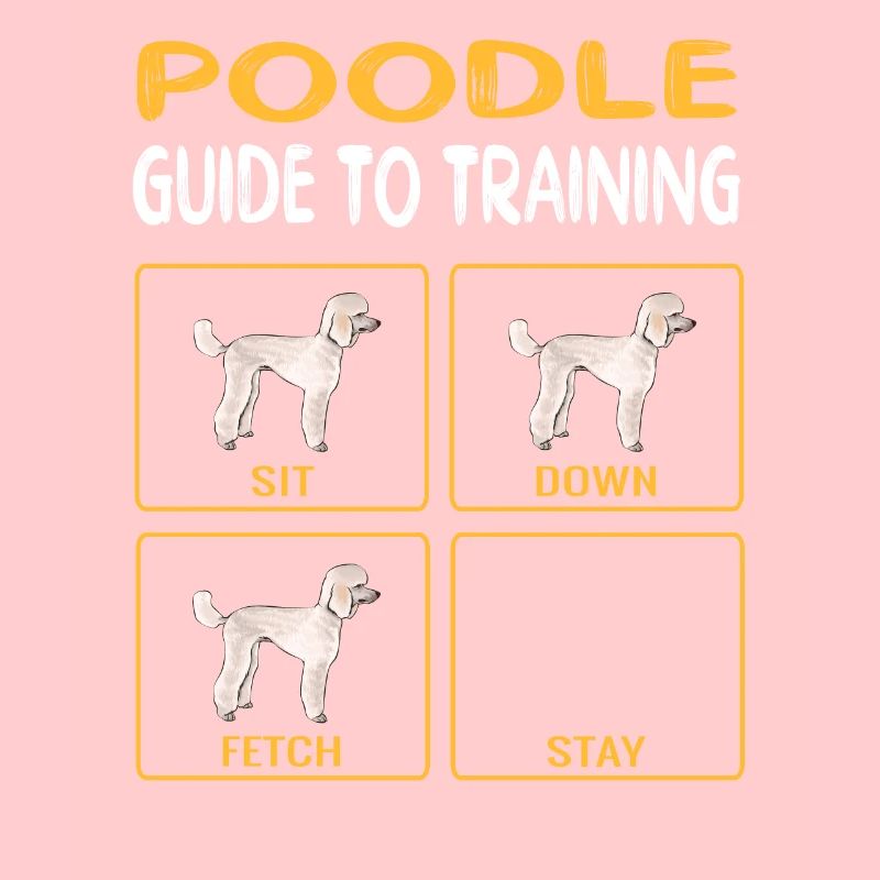 Guide de caniche à la formation de l’obéissance de chien