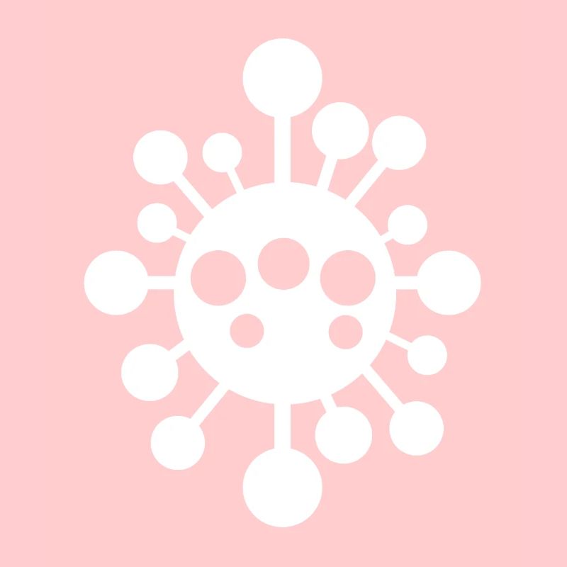 Virus Virus Bactéries