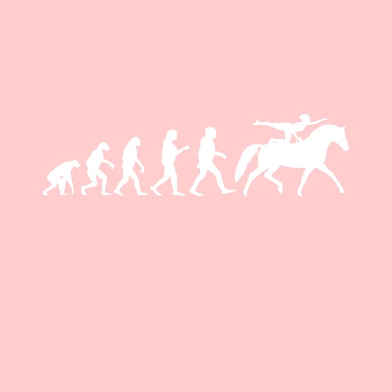 Evolution Voltigier Chevaux Équestres Voltige