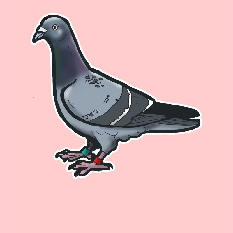 Comic Lustige Taube Vogel Geschenkidee Brieftaube