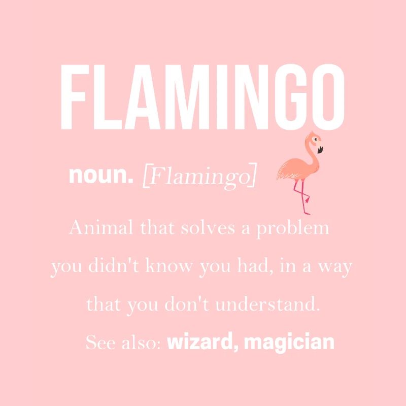 Flamingo