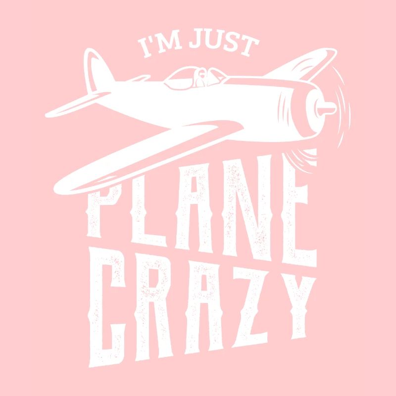 Modellbau Modellflieger