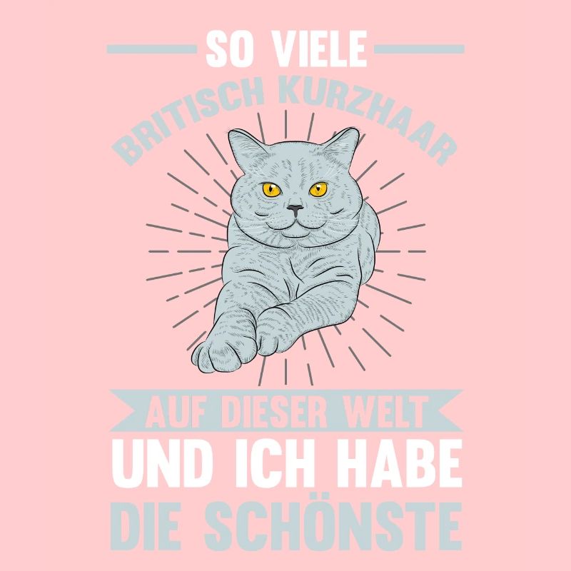 Katzen Britisch Kurzhaar