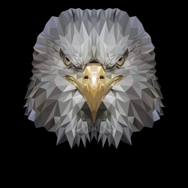 Aigle Polygone Oiseau de proie