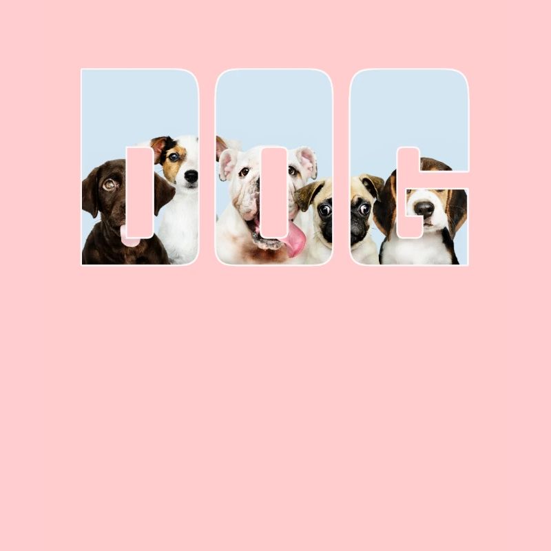 Chien