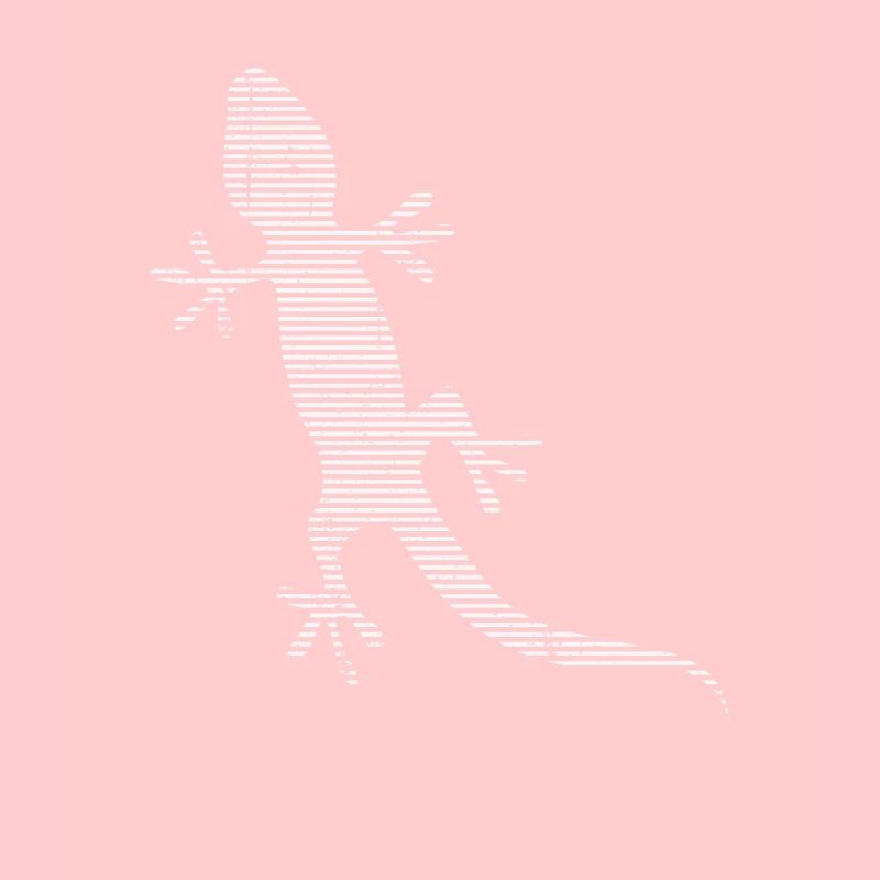 Lizard