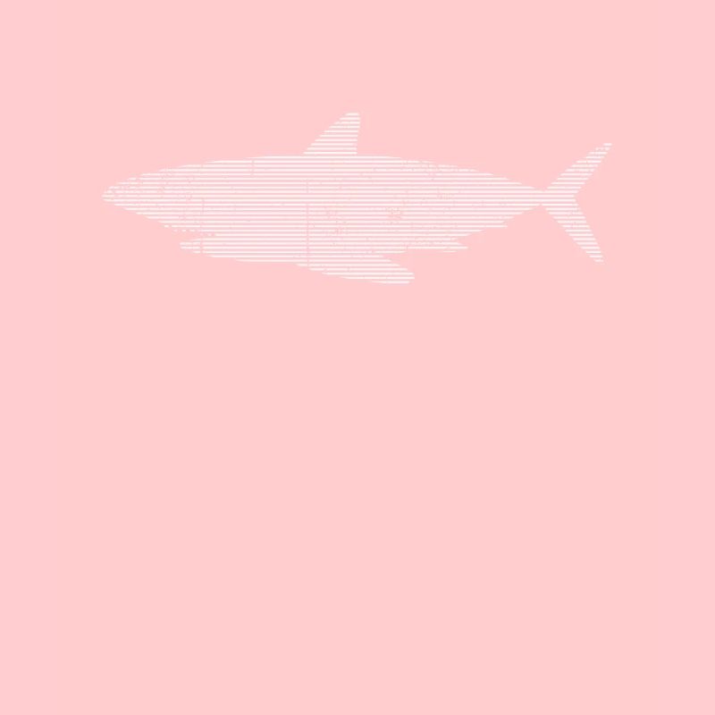 Requin
