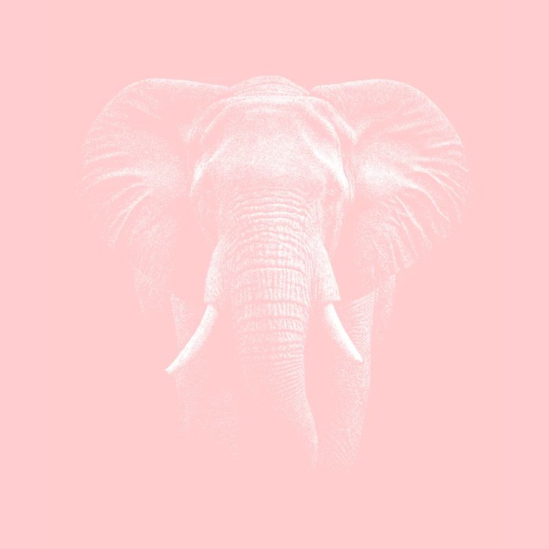 Realistic elephant design