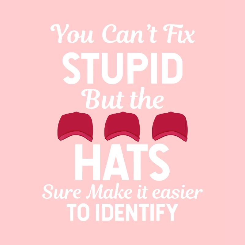 You Can't Fix Stupid But The Hats Sure Make It