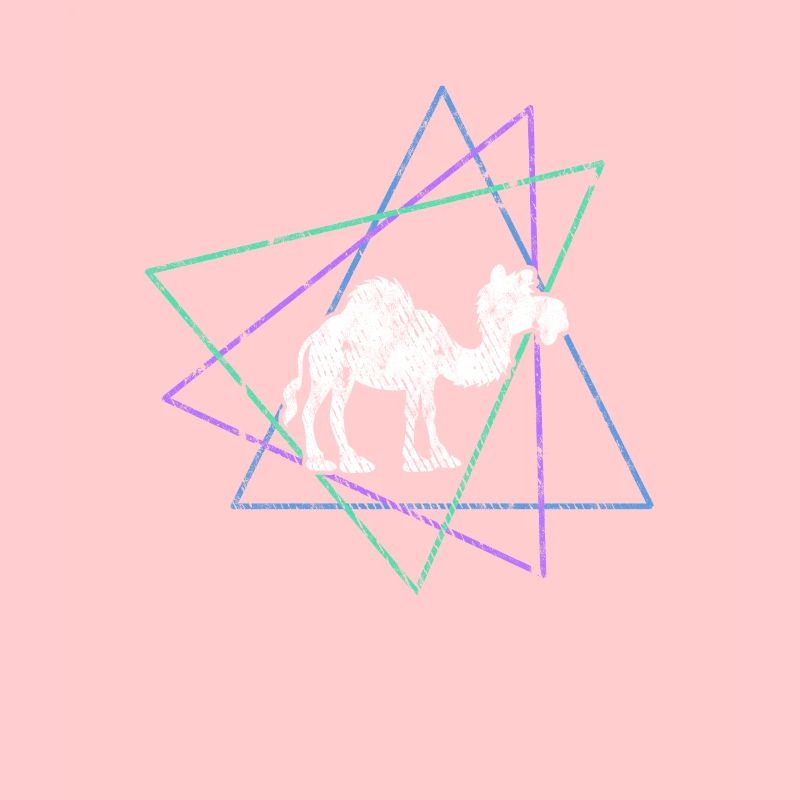 Dromedary