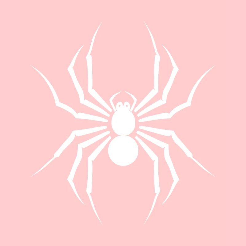Spinne