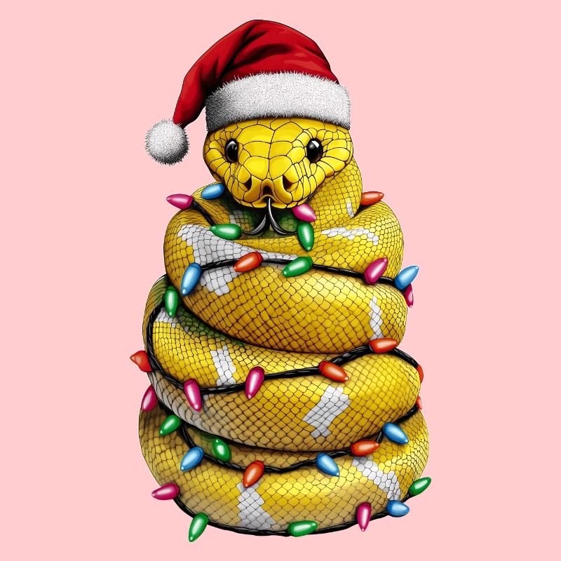 Ball Python Serpent Noël Chapeau Noël