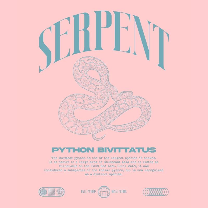 Burmese Python Modern Reptile Keeper Streetwear