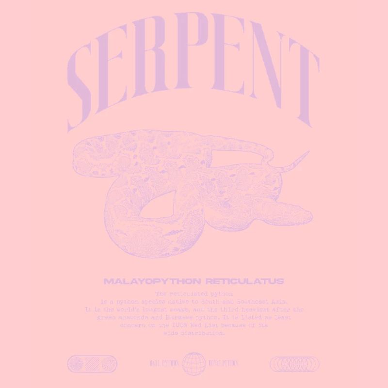 Gardien de reptiles python réticulé Streetwear