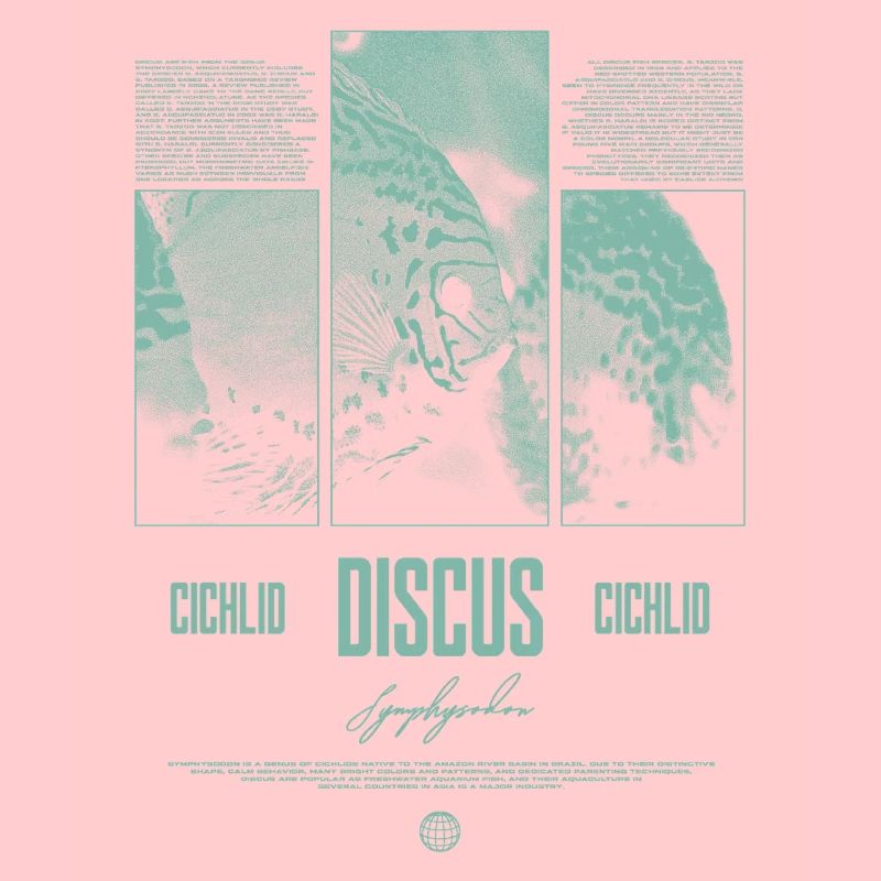 Discus Cichlidé Aquarium Fish Keeper