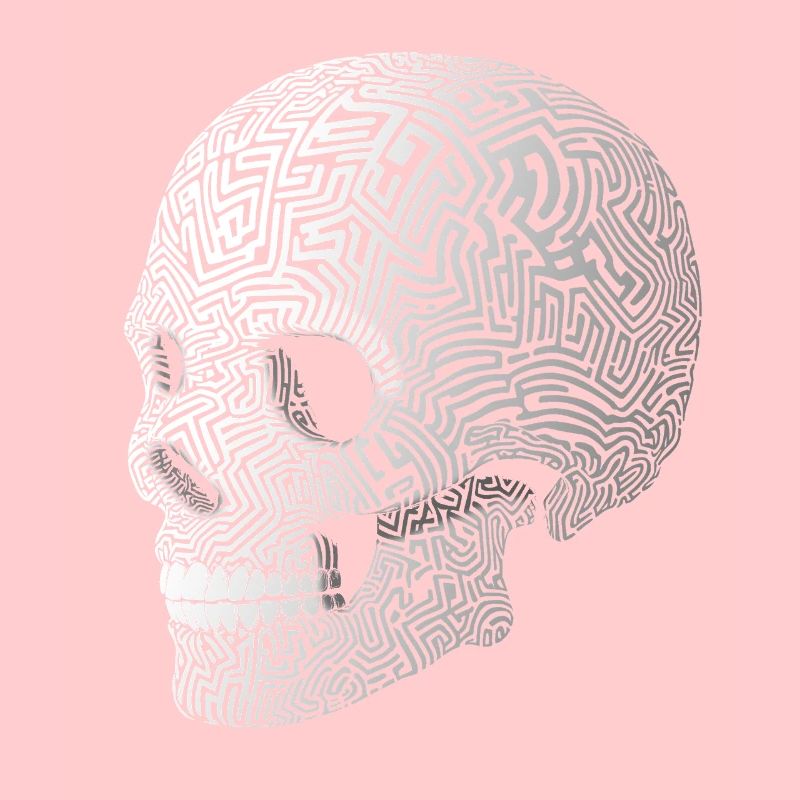 3d Skull