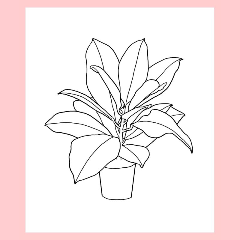 Planter
