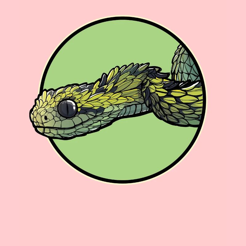 Vipères de brousse Vipère de brousse