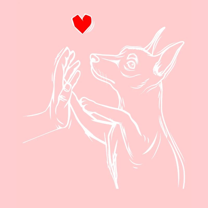 Zwergpinscher Liebe Miniature Pinscher